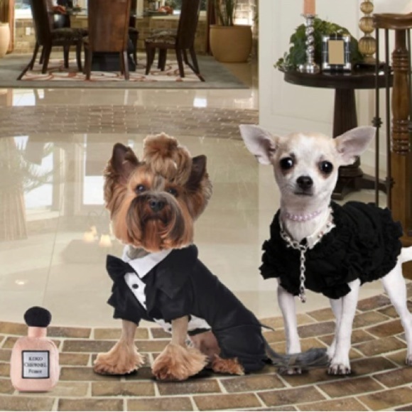 🎊HP🎊Dog 🐶 Toy - Picture 3 of 5